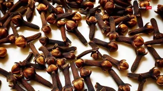 Clove Benefits: সারাবছর রোজ একটা করে লবঙ্গ খেলে কী কী উপকার ? বেশি খেয়ে ফেললে কোন কোন ক্ষতিই বা হতে পারে ?