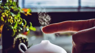 5 natural aromas to refresh your mind