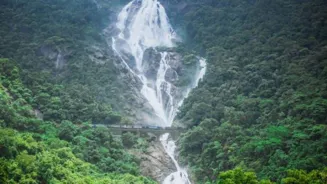 India's hidden waterfalls: Top trails to explore