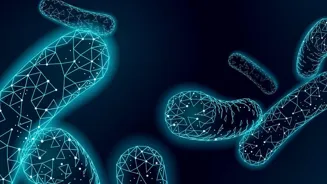 Study links oral bacteria to heart attacks: What you should know