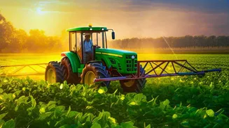 India may be forced to import soybeans, hitting local farmers