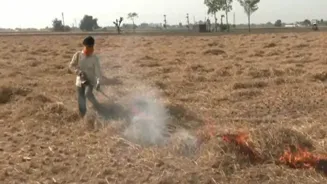 Delhi's air to turn toxic soon: Reason is Punjab