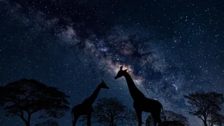 Escape Monsoon for Amazing Stargazing Spots