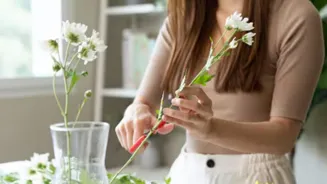 Transform Your Home With Easy Decor Updates