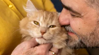 Kitten Growth: Nutrients and Calories Matter