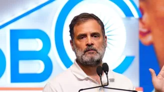 RaGa Calls Bill To Sack Arrested CMs 'Medieval'