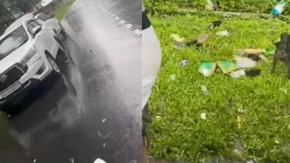 Tourists Clean Up Litter After Scolding