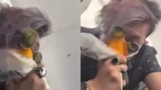 Bird Strike Causes Smoke on Paris Flight