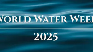 Can Agriculture Save India From Water Crisis?