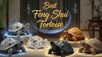 What Is The Best Feng Shui Turtle For You?