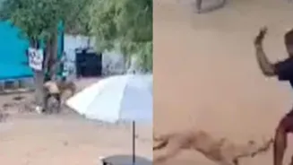 Stray Dog Attacks Boy and Father in TN
