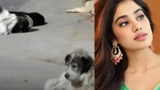 Janhvi Kapoor Condemns Dog Killings In Morocco