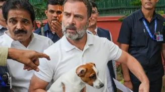 Rahul Gandhi Slams SC Dog Order as Unscientific