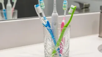 Replace Your Toothbrush Every 3 Months?