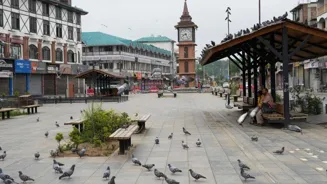 Pakistan Asks US, World To Help On Kashmir