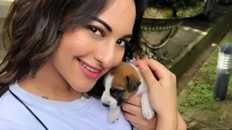 Sonakshi Sinha Is Sad About Stray Dogs