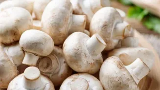 Grow Your Own Mushrooms: A Beginner's Guide