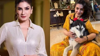 Raveena Tandon: Blame Local Bodies For Stray Dogs
