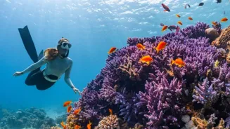 Saudi Arabia's Red Sea Region Is Worth A Visit