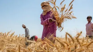 Modi's 'Vocal For Local' Can Help Farmers