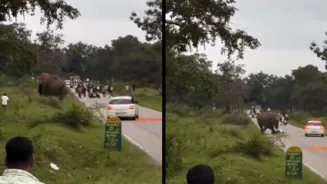 Selfie With Elephant Costs Man Rs 25000