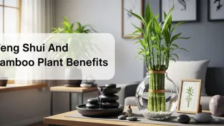 What Does Bamboo Symbolize In Feng Shui?