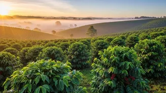 Must-Visit Coffee Destinations That Should Be On Every Traveller's Bucket List