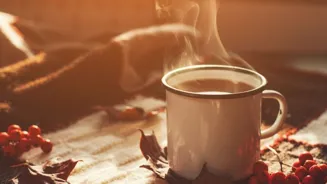 International Coffee Day: India’s Coffee Culture Evolves As Heritage Meets Innovation