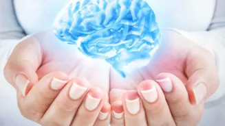 Is Memory Loss After 60 Normal or a Warning?