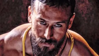 Baaghi 4 Opens at Rs 12 Cr Despite Bad Reviews
