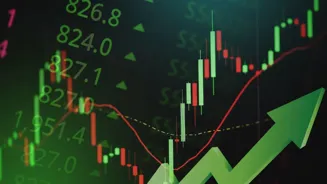 These Stocks Could Grow Your Investment Fast