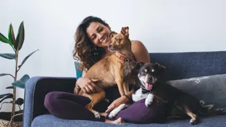 Dogs Or Humans: Which Appeared On Earth First?
