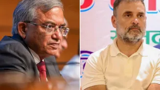 'BASELESS': EC junks Rahul's 'vote deletion' claim