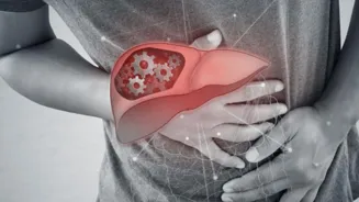 Junk Food Linked to Child Liver Disease