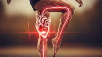 Your Second Heart: Location and Importance