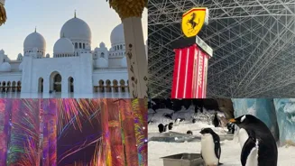 Plan Your Perfect Yas Island Getaway Now