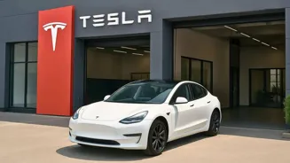 Tesla Opens Delhi Showroom August 11