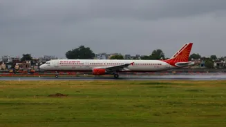 Air India flight lands safely after bird hit