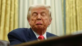 Trump's Tariffs Hurt US, Article Claims