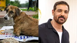 John Abraham Urges Stray Dog Directive Review