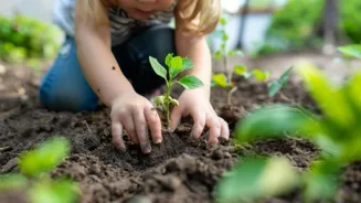 Gardening Relieves Stress and Makes You Happy