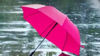 Heavy Rains Cause Damage in Thane and Palghar