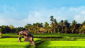 Modi Aims to Boost 100 Farm Districts
