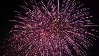 Delhi Police Seize Banned Firecrackers, Arrest 2