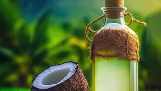 Kerala Boy, 12, Dies After Coconut Tree Fall