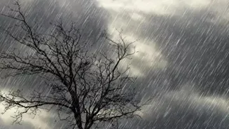 Rain Expected in Eastern, Southern Rajasthan
