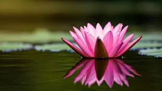 Mental Health: A Guide to Wellbeing in India