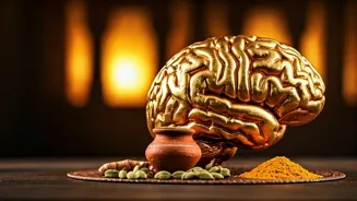 Stress: How the Brain, Body, and India Relate