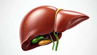 Fatty Liver: Know the Early Signs and Act Now
