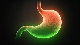 Slim Down: 7 Daily Habits To Lose Belly Fat